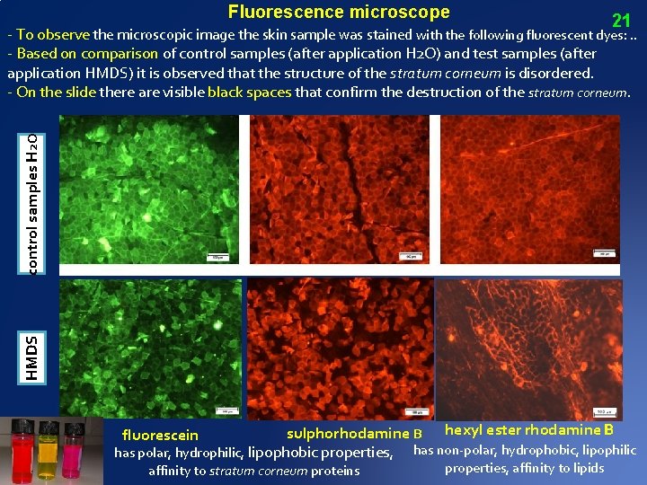 Fluorescence microscope 21 HMDS control samples H 2 O - To observe the microscopic