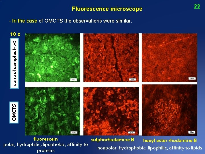 Fluorescence microscope 22 - In the case of OMCTS the observations were similar. OMCTS