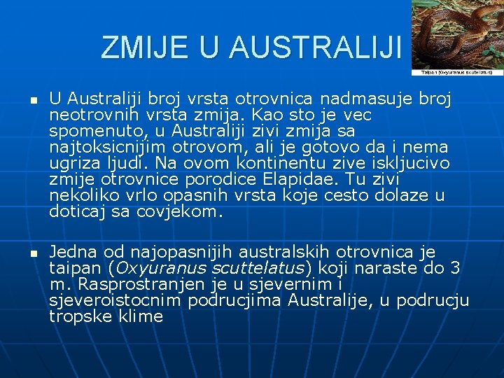 ZMIJE U AUSTRALIJI n n U Australiji broj vrsta otrovnica nadmasuje broj neotrovnih vrsta