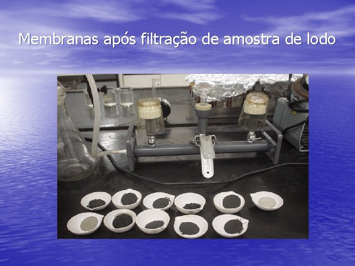 Membranas após filtração de amostra de lodo 