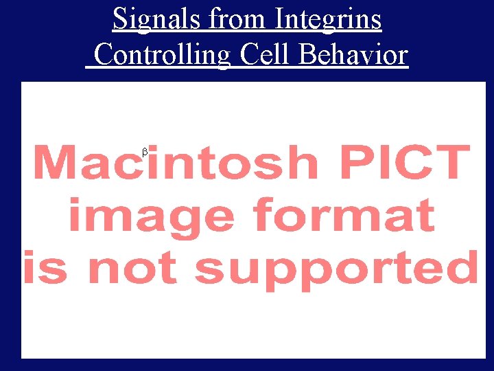 Signals from Integrins Controlling Cell Behavior 