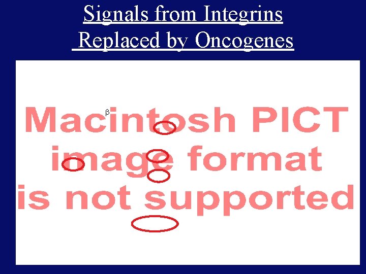 Signals from Integrins Replaced by Oncogenes 