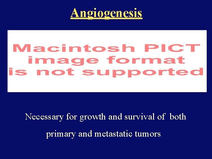 Angiogenesis Necessary for growth and survival of both primary and metastatic tumors 