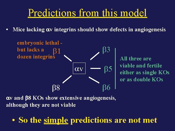 Predictions from this model • Mice lacking v integrins should show defects in angiogenesis