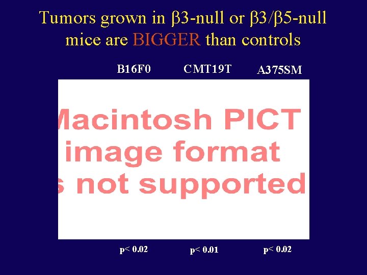 Tumors grown in -null or -null mice are BIGGER than controls B 16 F