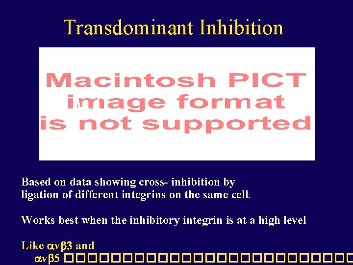 Transdominant Inhibition Based on data showing cross- inhibition by ligation of different integrins on