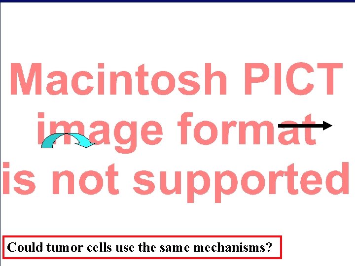 Could tumor cells use the same mechanisms? 