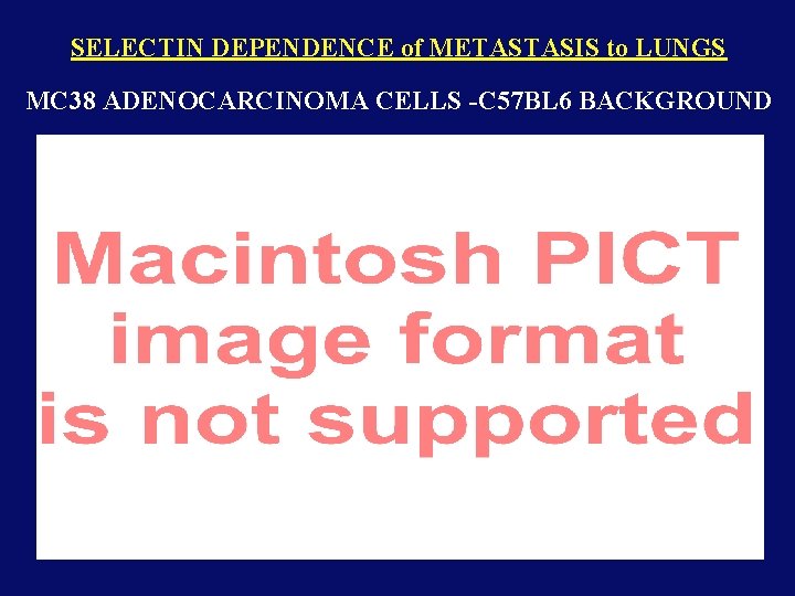 SELECTIN DEPENDENCE of METASTASIS to LUNGS MC 38 ADENOCARCINOMA CELLS -C 57 BL 6