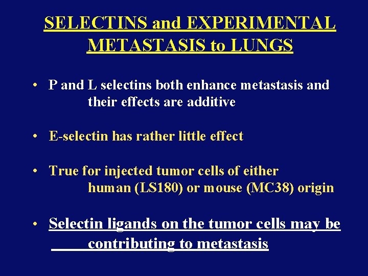 SELECTINS and EXPERIMENTAL METASTASIS to LUNGS • P and L selectins both enhance metastasis