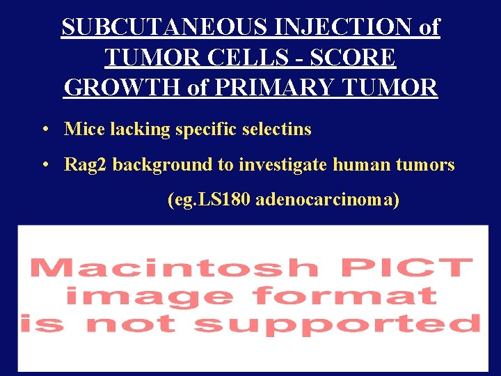 SUBCUTANEOUS INJECTION of TUMOR CELLS - SCORE GROWTH of PRIMARY TUMOR • Mice lacking