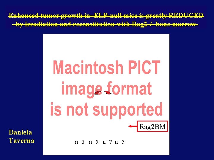 Enhanced tumor growth in ELP-null mice is greatly REDUCED by irradiation and reconstitution with