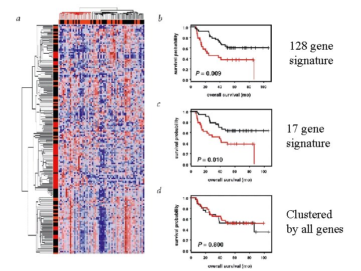 128 gene signature 17 gene signature Clustered by all genes 