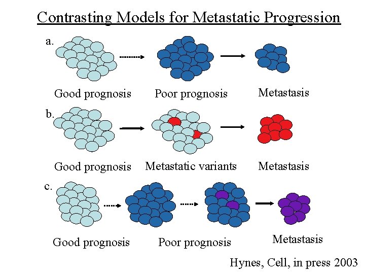 Contrasting Models for Metastatic Progression a. Good prognosis Poor prognosis Metastatic variants Metastasis b.