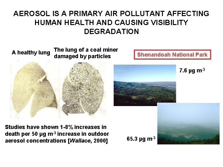 AEROSOL IS A PRIMARY AIR POLLUTANT AFFECTING HUMAN HEALTH AND CAUSING VISIBILITY DEGRADATION A