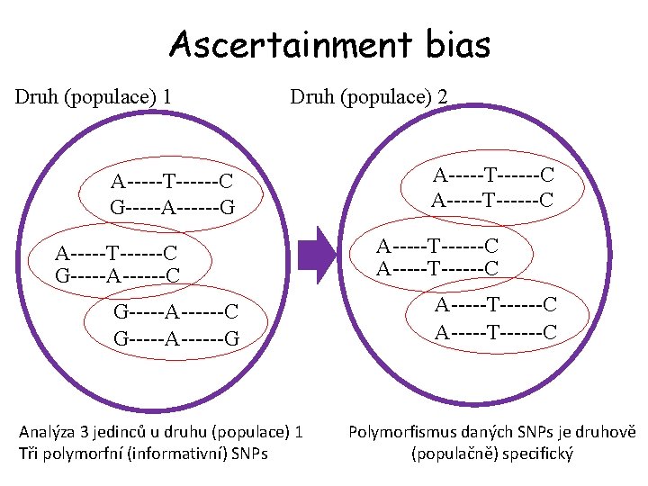 Ascertainment bias Druh (populace) 1 Druh (populace) 2 A-----T------C G-----A------G A-----T------C G-----A------C G-----A------G Analýza