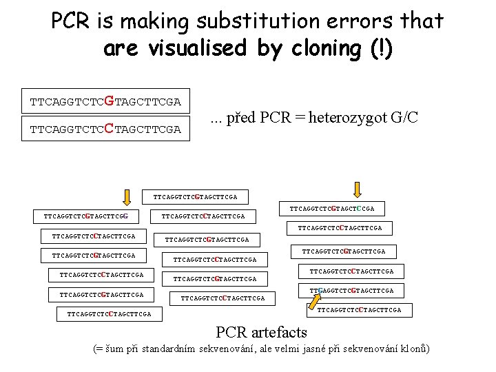 PCR is making substitution errors that are visualised by cloning (!) TTCAGGTCTCGTAGCTTCGA TTCAGGTCTCCTAGCTTCGA .