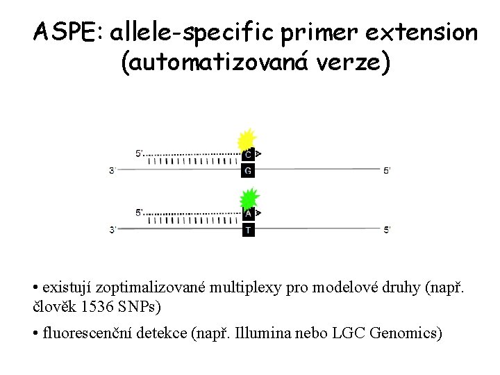 ASPE: allele-specific primer extension (automatizovaná verze) • existují zoptimalizované multiplexy pro modelové druhy (např.