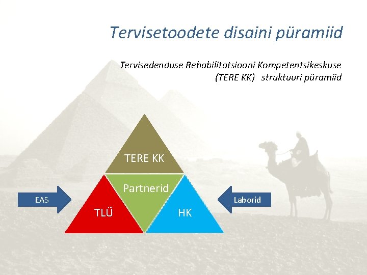 Tervisetoodete disaini püramiid Tervisedenduse Rehabilitatsiooni Kompetentsikeskuse (TERE KK) struktuuri püramiid TERE KK EAS Partnerid