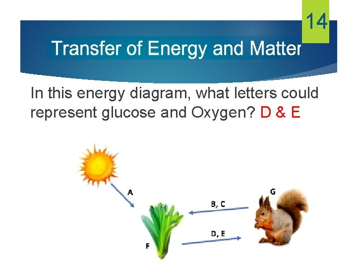 14 In this energy diagram, what letters could represent glucose and Oxygen? D &