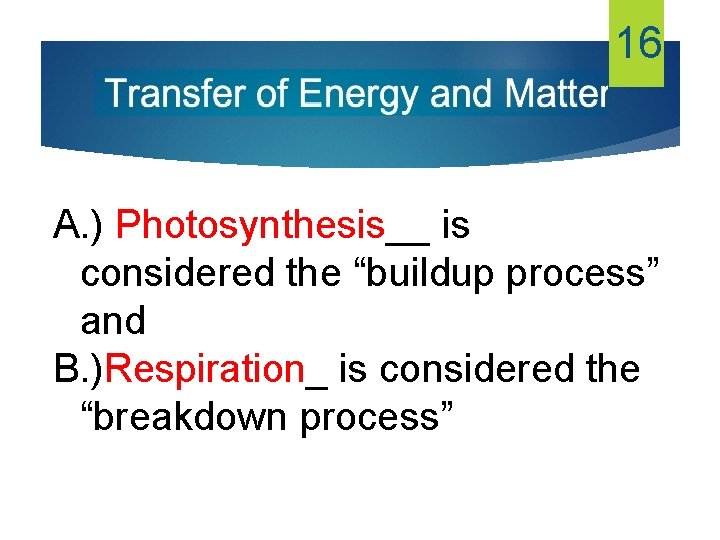 16 A. ) Photosynthesis__ is considered the “buildup process” and B. )Respiration_ is considered