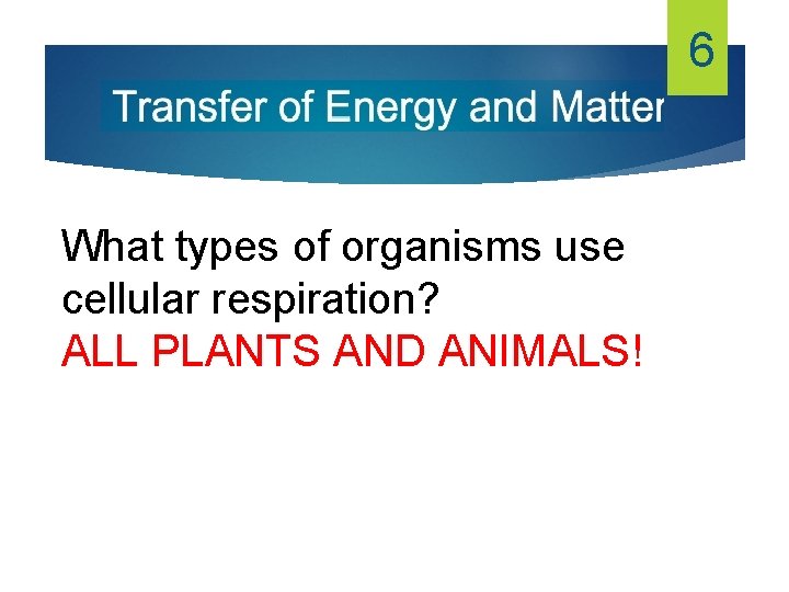 6 What types of organisms use cellular respiration? ALL PLANTS AND ANIMALS! 