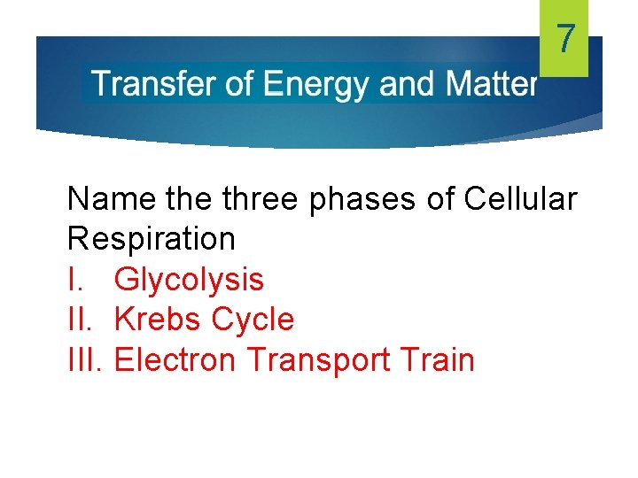 7 Name three phases of Cellular Respiration I. Glycolysis II. Krebs Cycle III. Electron