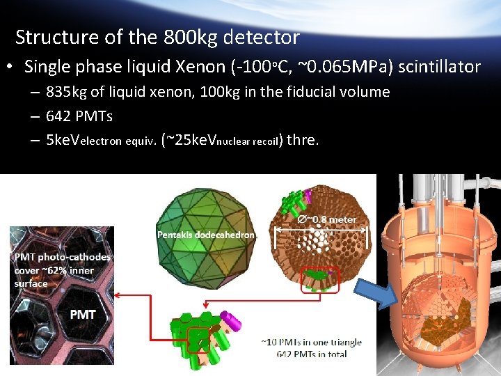 Structure of the 800 kg detector • Single phase liquid Xenon (-100 o. C,