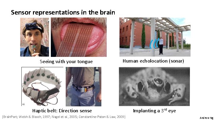 Sensor representations in the brain Seeing with your tongue Human echolocation (sonar) Haptic belt: