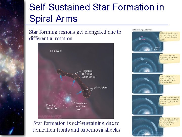 Self-Sustained Star Formation in Spiral Arms Star forming regions get elongated due to differential