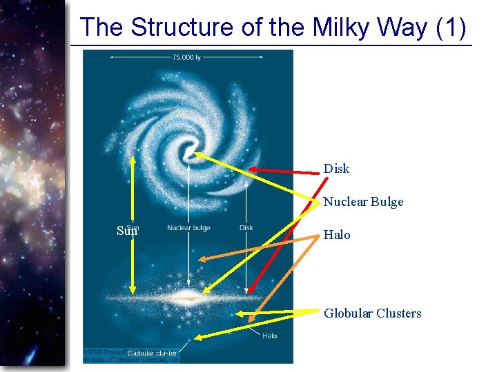 The Structure of the Milky Way (1) Disk Nuclear Bulge Sun Halo Globular Clusters