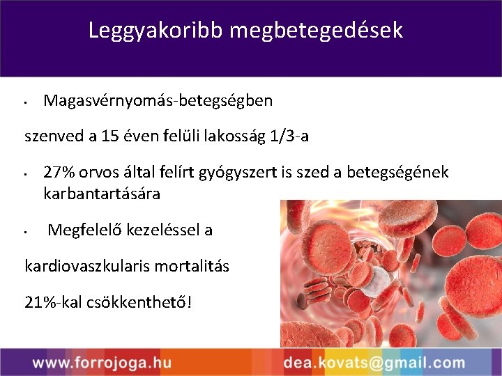 Leggyakoribb megbetegedések • Magasvérnyomás-betegségben szenved a 15 éven felüli lakosság 1/3 -a • •