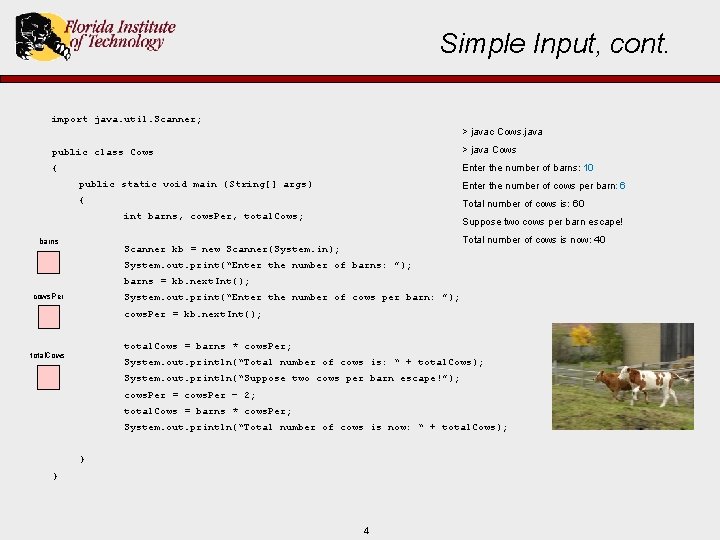 Simple Input, cont. import java. util. Scanner; > javac Cows. java public class Cows