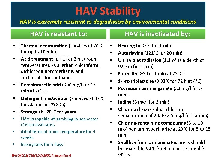 HAV Stability HAV is extremely resistant to degradation by environmental conditions HAV is resistant