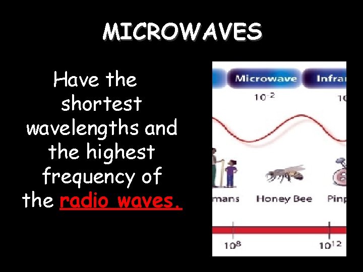 MICROWAVES Have the shortest wavelengths and the highest frequency of the radio waves. 