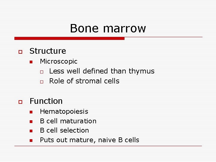 Bone marrow o Structure n Microscopic o Less well defined than thymus o o