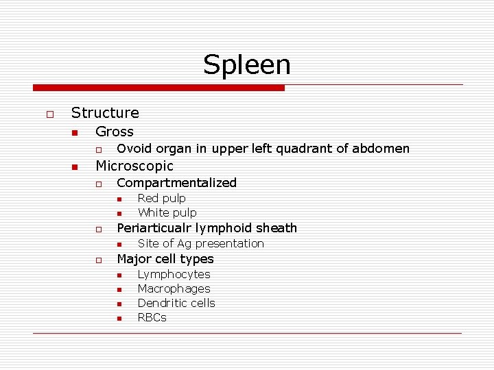 Spleen o Structure n Gross o n Ovoid organ in upper left quadrant of