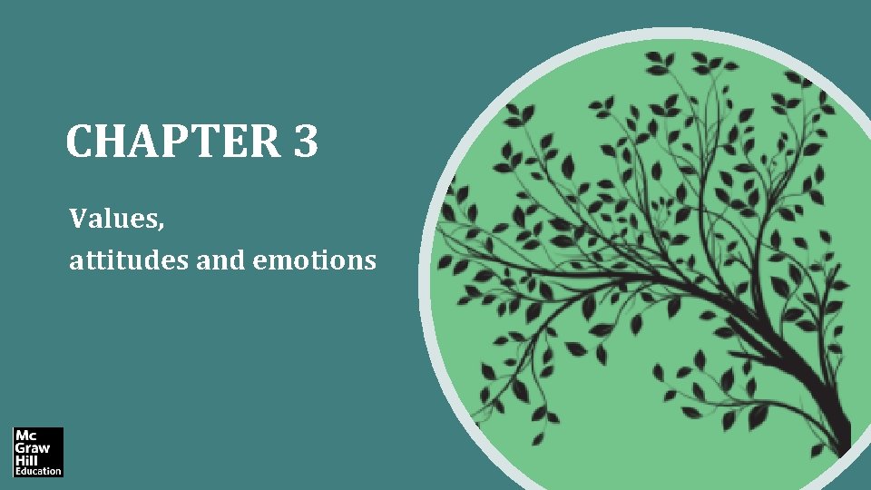 CHAPTER 3 Values, attitudes and emotions 
