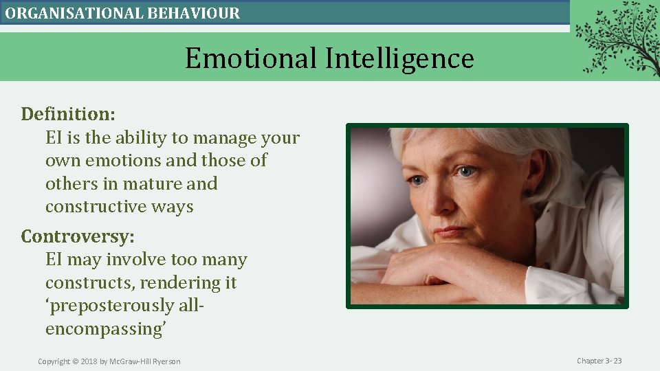 ORGANISATIONAL BEHAVIOUR Emotional Intelligence Definition: EI is the ability to manage your own emotions