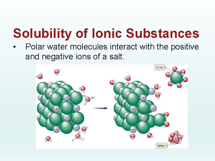 Solubility of Ionic Substances • Polar water molecules interact with the positive and negative