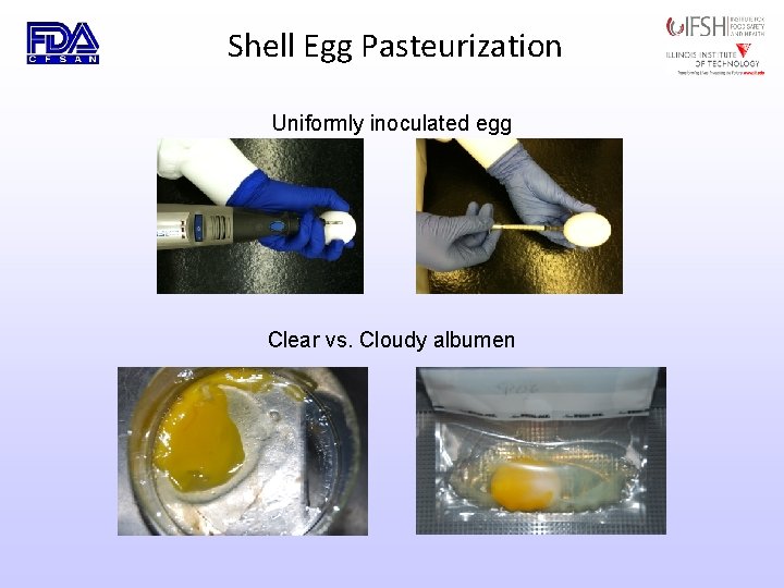 Shell Egg Pasteurization Uniformly inoculated egg Clear vs. Cloudy albumen 
