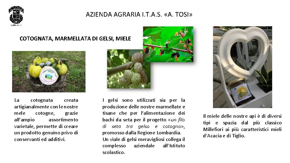 AZIENDA AGRARIA I. T. A. S. «A. TOSI» COTOGNATA, MARMELLATA DI GELSI, MIELE La AZIENDA AGRARIA I. T. A. S. «A. TOSI» COTOGNATA, MARMELLATA DI GELSI, MIELE La