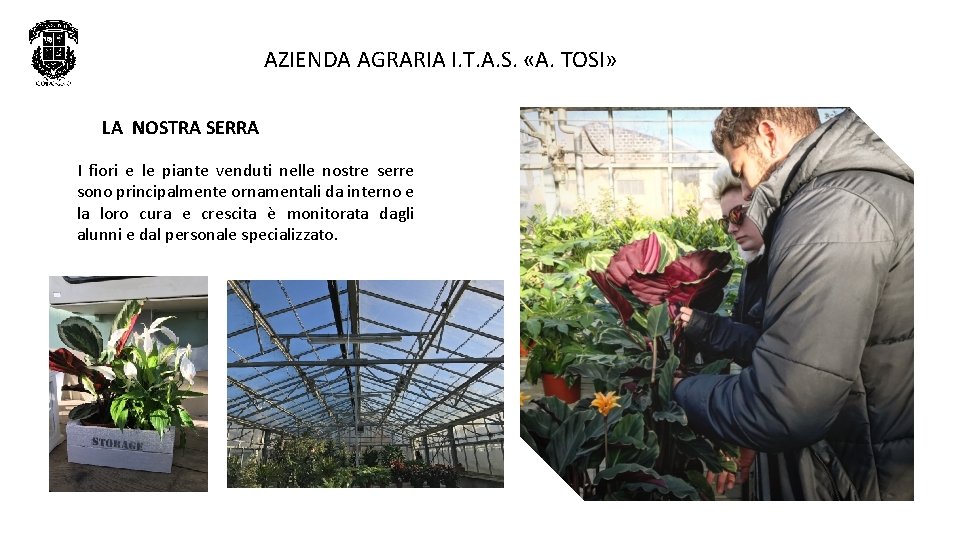 AZIENDA AGRARIA I. T. A. S. «A. TOSI» LA NOSTRA SERRA I fiori e AZIENDA AGRARIA I. T. A. S. «A. TOSI» LA NOSTRA SERRA I fiori e