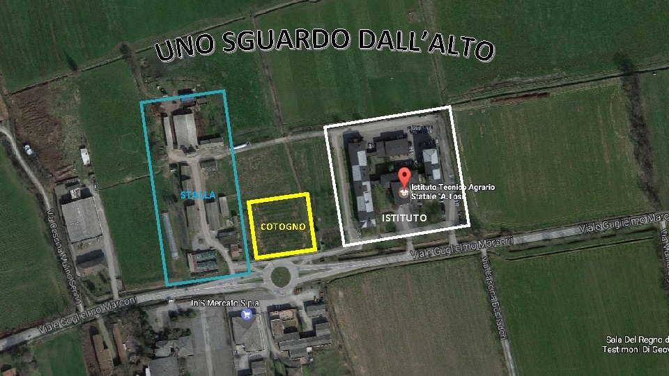 STALLA COTOGNO ISTITUTO STALLA COTOGNO ISTITUTO
