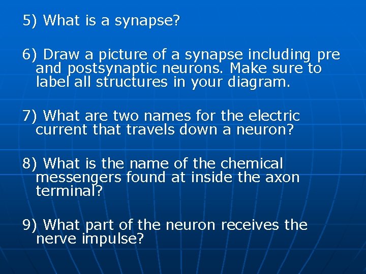 5) What is a synapse? 6) Draw a picture of a synapse including pre