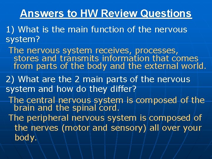 Answers to HW Review Questions 1) What is the main function of the nervous