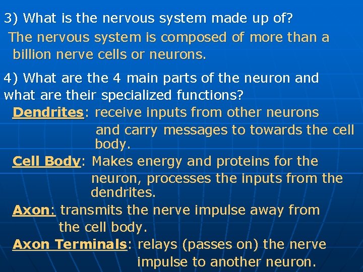 3) What is the nervous system made up of? The nervous system is composed