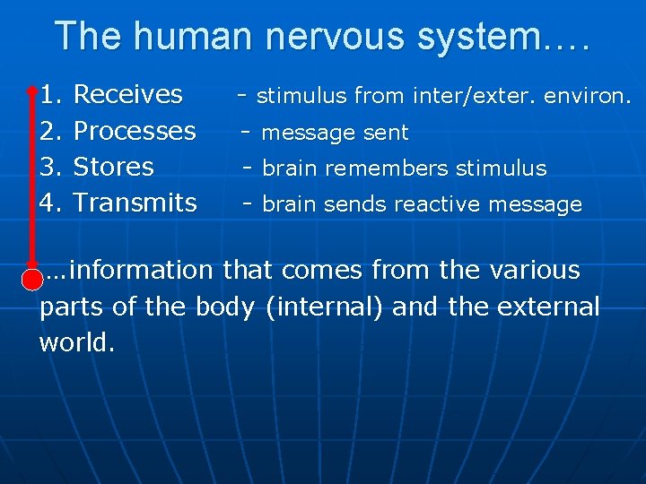 The human nervous system…. 1. 2. 3. 4. Receives Processes Stores Transmits - stimulus