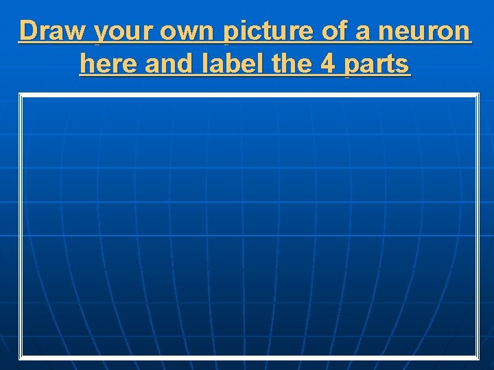 Draw your own picture of a neuron here and label the 4 parts 