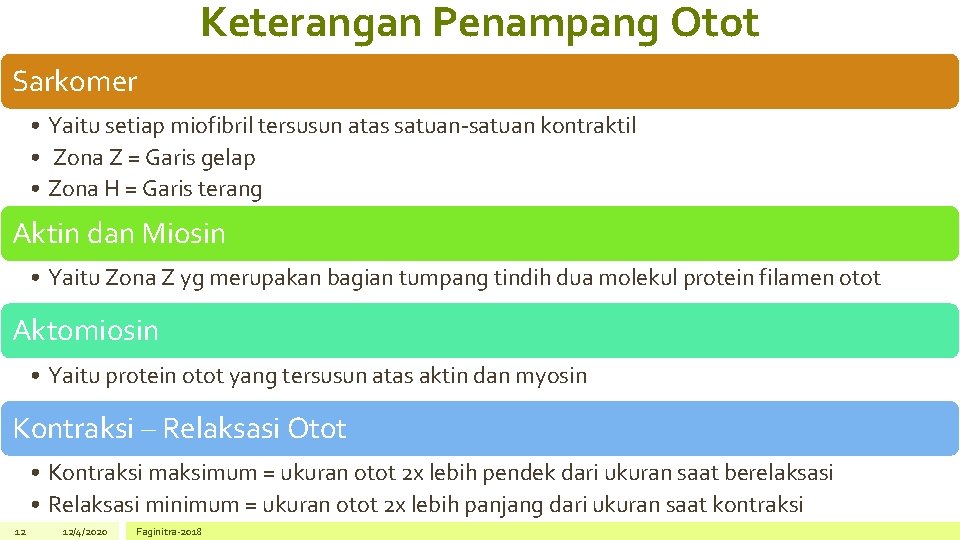 Keterangan Penampang Otot Sarkomer • Yaitu setiap miofibril tersusun atas satuan-satuan kontraktil • Zona