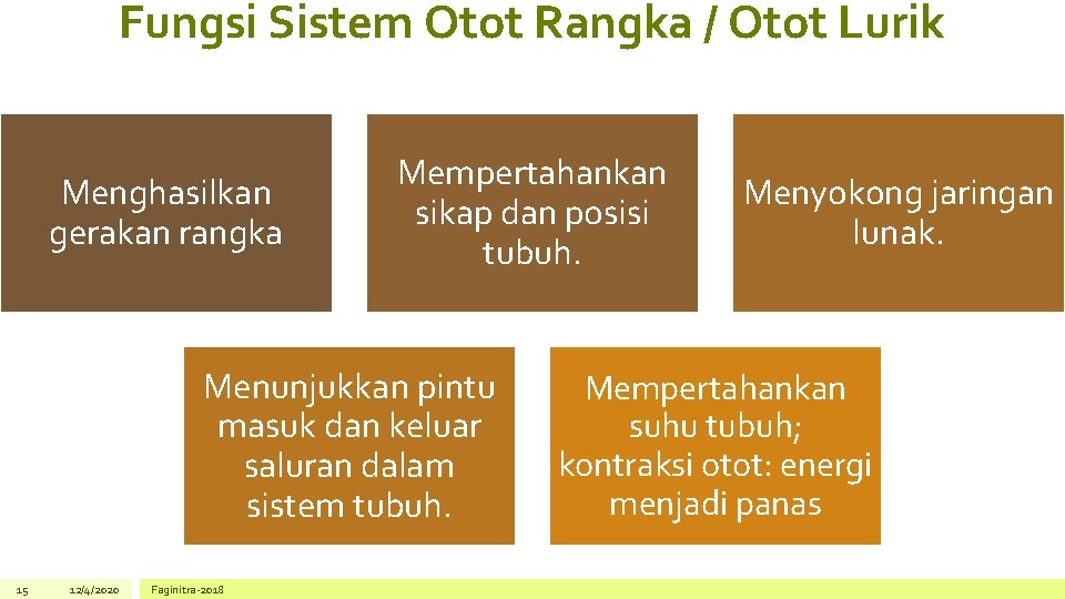 Fungsi Sistem Otot Rangka / Otot Lurik Menghasilkan gerakan rangka Mempertahankan sikap dan posisi